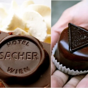 Café zacher във виена: адрес, описание, меню, ревюта