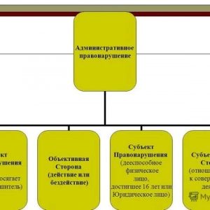 Какъв е давностният срок за административна отговорност?