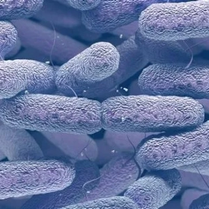 Klebsiella при бебето: симптоми, причини, лечения, прегледи