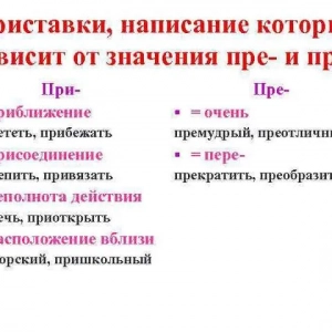 Безразсъдно е това, което е? Какво е значението на думата?