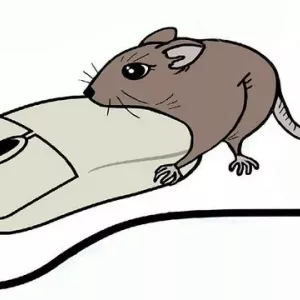 Как работи компютърната мишка: видове и принцип на работа